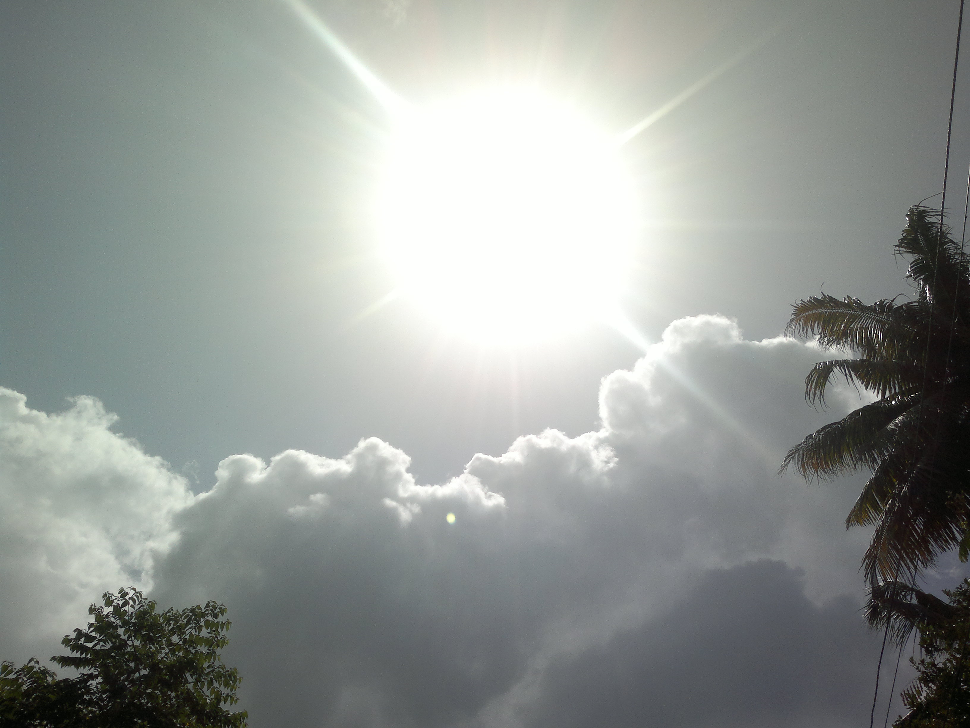 My Photography